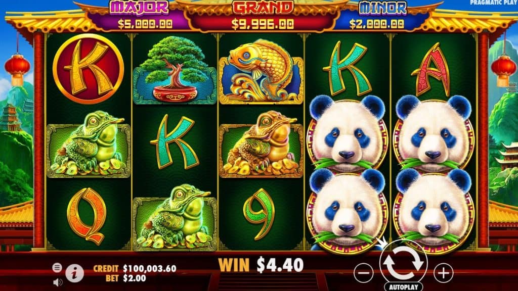 Maxwin Mudah untuk Pemula Dari Panda's Fortune 2