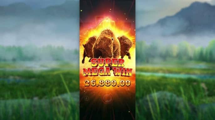 Amukan Bison Pembawa Keberuntungan Dari Buffalo Win